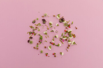 Multiple flower heads arranged in circle on pink background