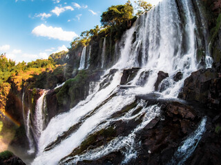 Fototapeta premium waterfall in park iguazu falls 