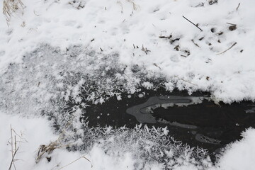beautifully frozen stream