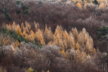 autumn in the mountains