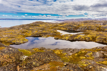 Beautiful arctic summer landscape on Barents sea shoreline.