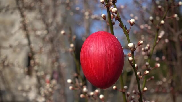 Rot bemaltes Osterei an einem Zweig mit wei&szlig;en Knospen drau&szlig;en in Nahaufnahme