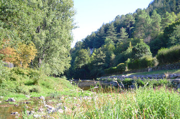Cevennes national parc in the south of France landscape with lake and trees