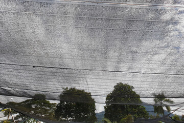 Low angle view black shading net pattern texture and background. Weaved plastic shade to protect and avoid direct sunlight to the plants.