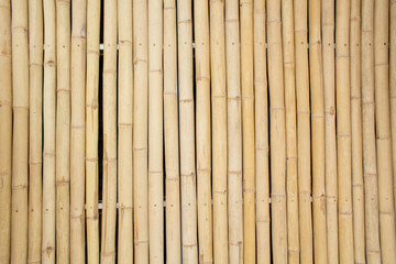 bamboo background