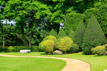 garden in the park