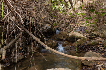 The swift, shallow,  cold mountain Ayun river in the Galilee in northern Israel