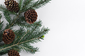 Fir branches and cones on a white background of Kopi space