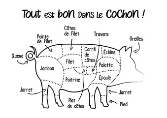 Le porc, cochon: boucherie pièces de viande de porc, schéma découpe du cochon en français, illustration, croquis