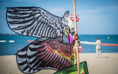 Kites for sale on the beach in Pattaya, Thailand