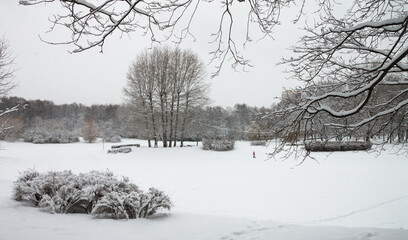 Snow storm, snowstorm in the city. Huge snowdrifts lie on the road. During the day, white snow...