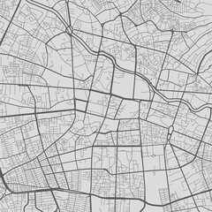 Urban city map of Tabriz. Vector poster. Grayscale street map.