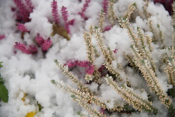 Naturlandschaft bei Schneewetter