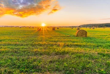 Foto auf Alu-Dibond Scenic view at beautiful sunset in a green shiny field in willage farm with hay stacks, cloudy sky, golden sun rays, anazing summer valley evening landscape © Yaroslav