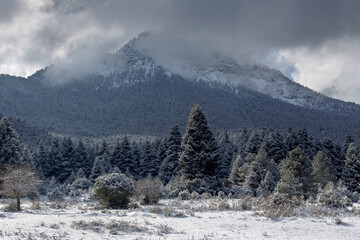 View of the mountains and trees in a winter, cloudy day