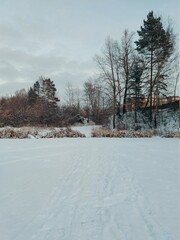 landscape on a frozen and snow covered lake against the backdrop of trees and the evening sky