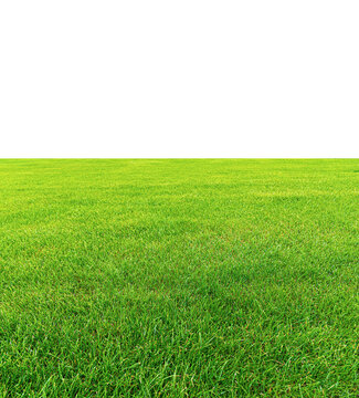 Free Grass Images – Browse 28,104 Free Stock Photos, Vectors, and Video ...