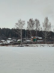 winter countryside landscape with forest background