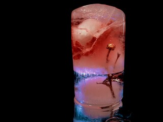 ice swallowed lovely flower in creative and abstract photography