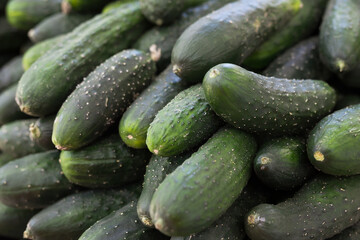 cucumbers on market counter in wicker basket