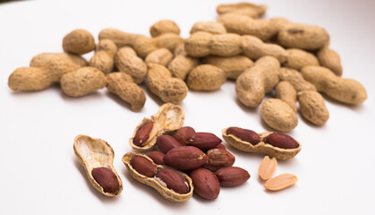 peanut kernels on a white background