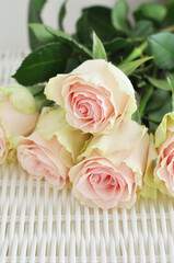 bouquet of roses in a basket on white background