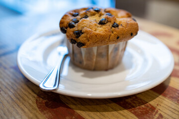 A delicious muffin with chocolate chips