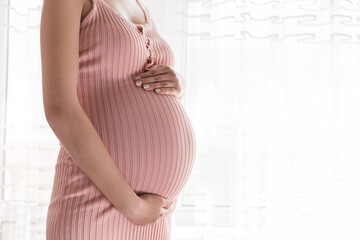 Pretty young pregnant woman standing by the window in home