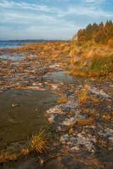 499-47 Cana Island Morning Shore
