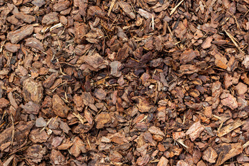 Crushed tree bark texture closeup. Wooden mulch ground's fragment as an abstract background composition. The pieces of tree bark texture like for background. Wood chip from pine trees