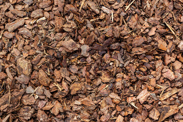 Crushed tree bark texture closeup. Wooden mulch ground's fragment as an abstract background...