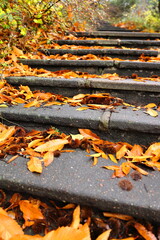 Treppe mit Herbstlaub