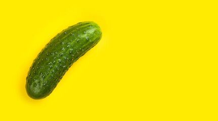 Fresh cucumber isolated on yellow background