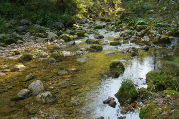 Bachlauf im Kreuther Tal, Oberbayern, Bayern, Deutschland, Europa