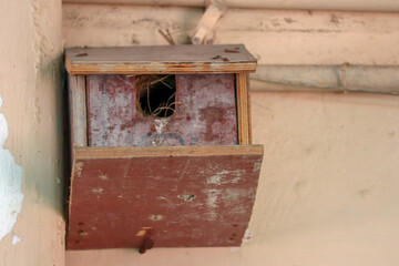 nest box or birds Home  In uptop in  building