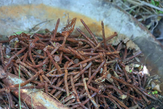 Group Of Brown Nails  Or Panel Pin Nails  In Outdoors