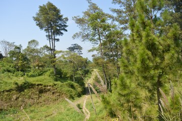beautiful landscape for tropical mountain