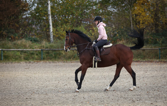Horse With rider during training, here the change of canter, phase 4 photographed from the side..