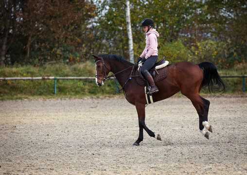 Horse With rider during training, here the change of canter, phase 5 photographed from the side..