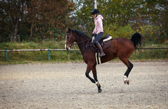 Horse With rider during training, here the change of canter, phase 6 photographed from the side..