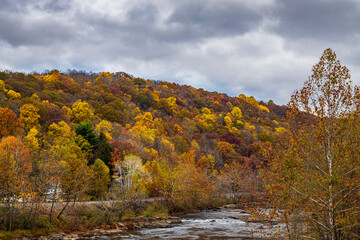 A view of the Youghiogheny river and Fall foliage at Ohiopyle State Park.