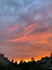 sunset in the city fhuy1