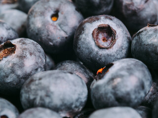 Blueberry close-up