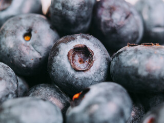 blueberries in detail