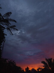 sunset over the forest