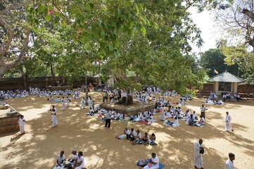 People in white robes gather for a prayer service in honor of the Poya holiday near the sacred Bodhi tree in the ancient city of Anuradhapura, Sri Lanka.