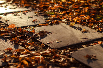 The path is covered with yellow leaves. Autumn path of tiles in the Park, close-up.