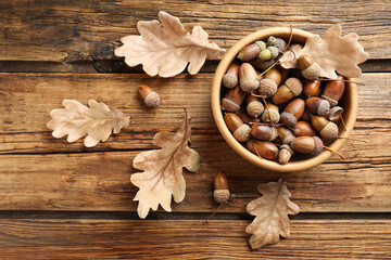 Acorns and oak leaves on wooden table, flat lay