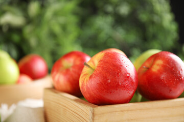 Fresh ripe apples in wooden crate on blurred background, closeup. Space for text