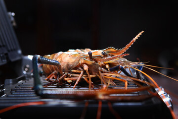 Giant freshwater shrimp are on the grill. Grilled shrimp. Photo on a black background. Side view.